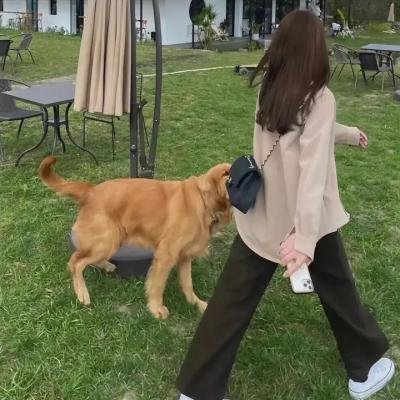 梦魇猎手